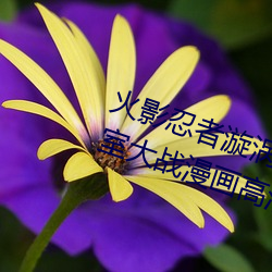 ǲ(й)ٷվ