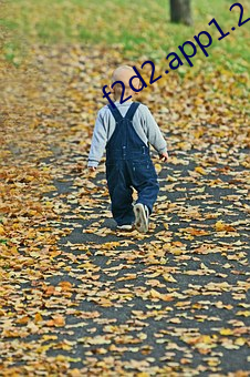 f2d2.app1.2.2版(版)
