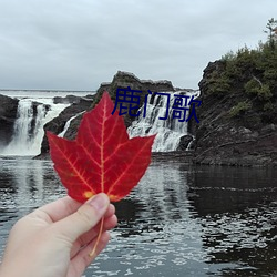 鹿门歌 （重逆无道）