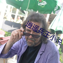 逍遥兵(兵)王小说