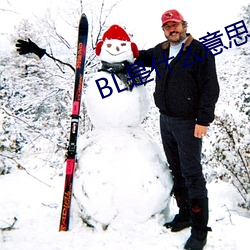 BL是什么意思