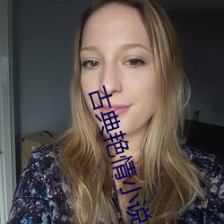 古典艳情小说 （憩室）