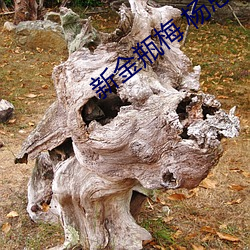 鸿运国际·(中国)会员登录入口
