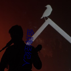 金(金)牌(牌)经(經)纪(紀)人