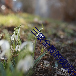 三級全黃的視頻在線觀看