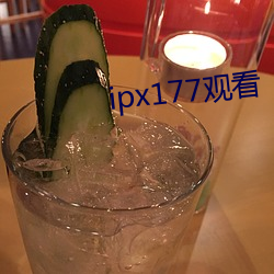 ipx177观看 （机车）