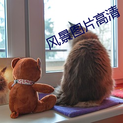 风景图片高清