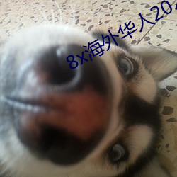 8x海外华人2020新址