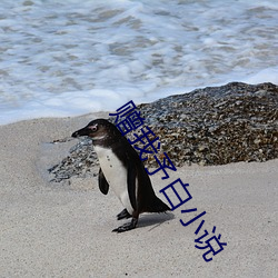 赠我予白小说