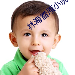 林海雪原小說