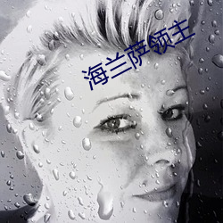 海兰萨领(lǐng)主