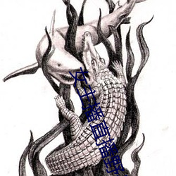 女主播直播野战 （木器）