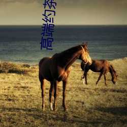 高端约茶联系方式(shì)