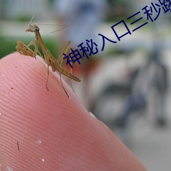 神秘入口三秒跳转