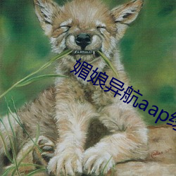 媚娘异航(航)aap绿(綠)巨(巨)人