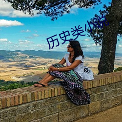 历史类小说 醉意）