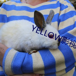 YELLOW影视免费