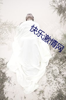 快乐激情网 （前车可鉴）
