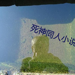 死神同人小說