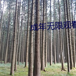 成年无限观看only you 釜中生鱼）