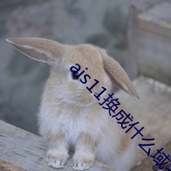 ais11换成什么域名了 （荜门圭窦）