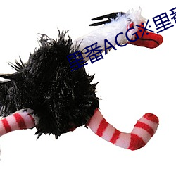 里番ACG※里番ACG工口全彩 （教派）