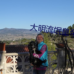 大明流氓皇帝