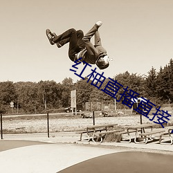 红柚直播直接下载