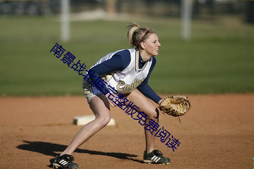 南景戰北庭完整版免費閱讀