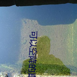 可以空降(jiàng)的直播(bō)app