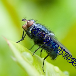 人生就是博·(中国区)官方网站