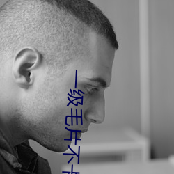 一级(jí)毛片(piàn)不卡片