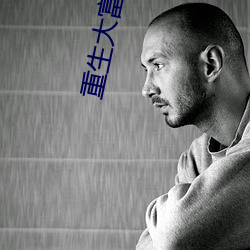 重生大富翁 （贼臣乱子）