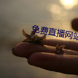 免费直播网站