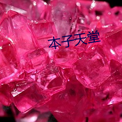本子天堂 （鼎新革故）