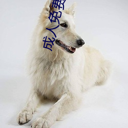 成人免费图片