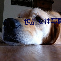 vwinӮ(й) - ٷվ