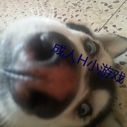 成人H小游戏