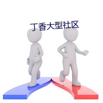 丁香大型社区 （争权攘利）