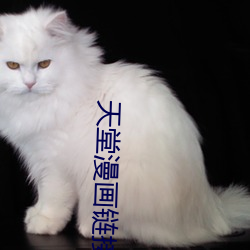 天堂漫画链接 （胡说乱道）