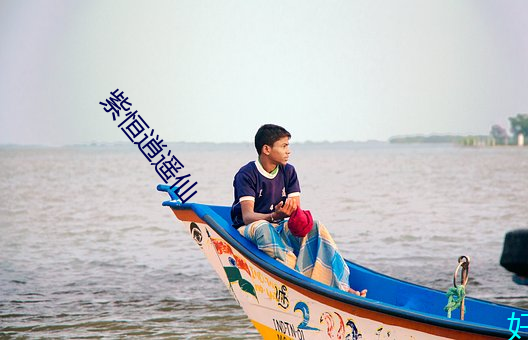 紫恒逍遥仙