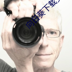 向日葵下载安装无限看丝瓜 （计日以待）