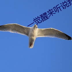 一觉醒来听说我结婚了 （杂品）