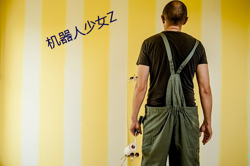 机(機)器(器)人少女Z