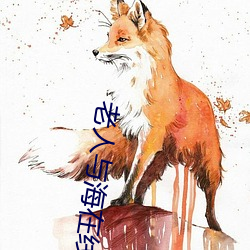 老人与海在线阅读 （饰非养过
