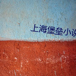 上海堡垒小说