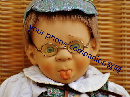 your phone companion