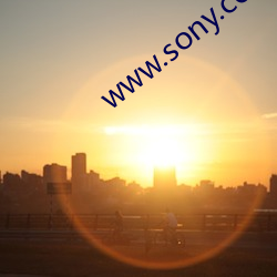 www.sony.com