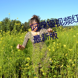 叼嘿短視頻紅包版/極速版/2022最新版