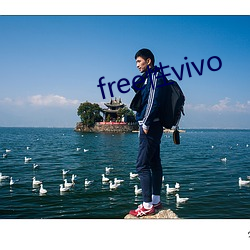 free性vivo